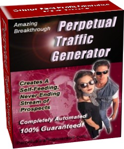 perpetual traffic generator script for your web site with resell rights